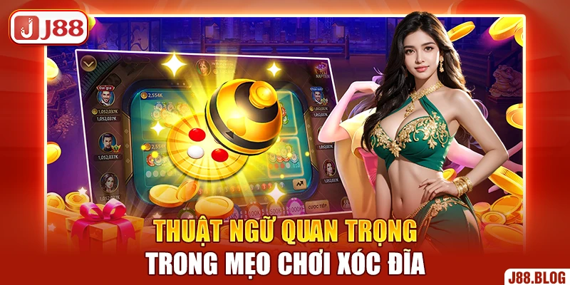 thuat-ngu-quan-trong-trong-meo-choi-xoc-dia